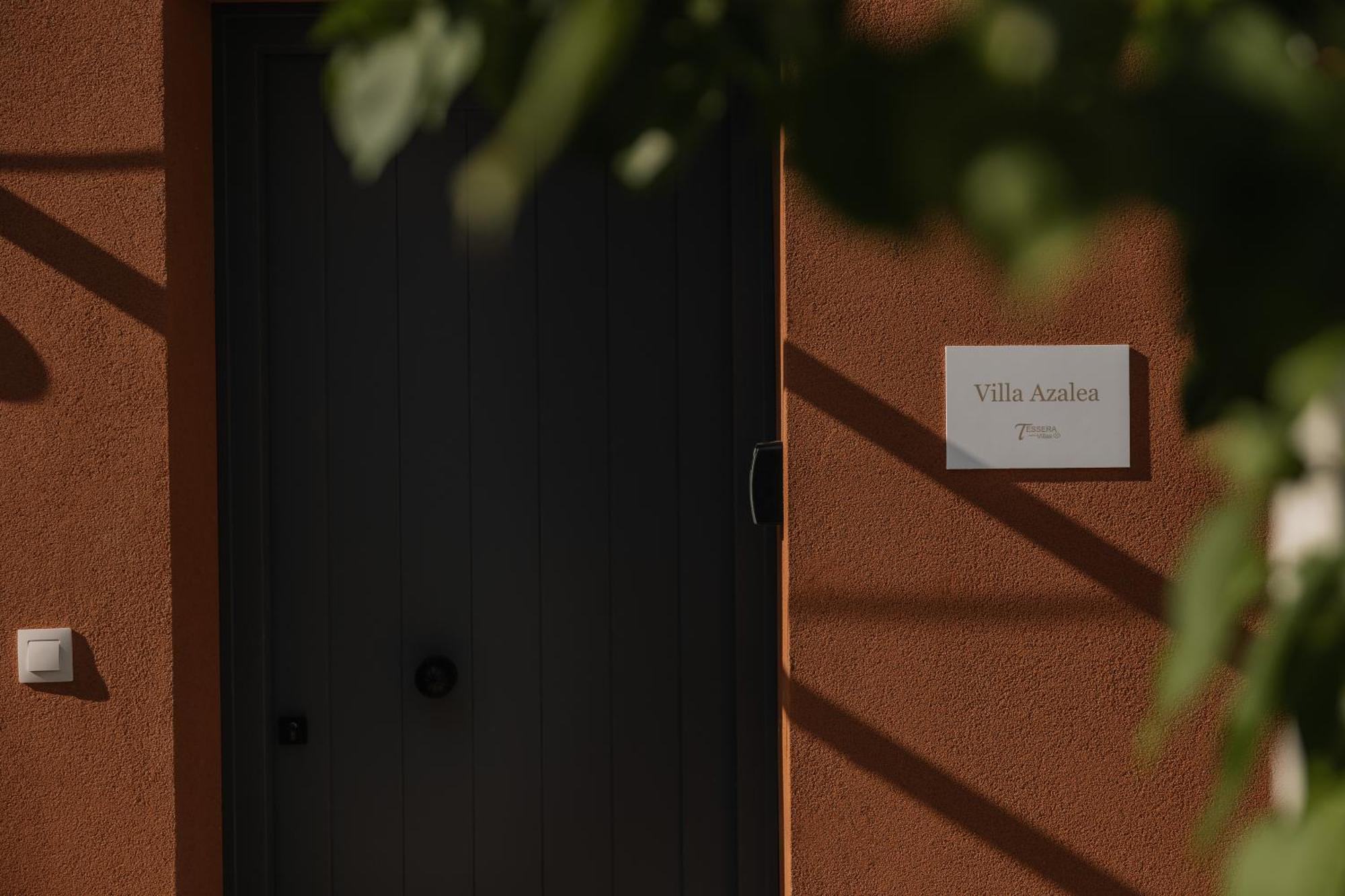 Tessera & Collection *